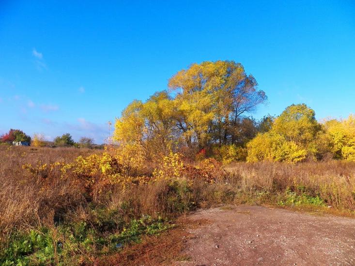 Нікішине з panoramio.com - Nikishyne