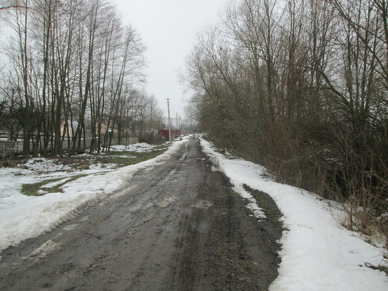 Мостове у лютому 2014 - Мостове