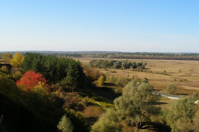 Велика Чернеччина з panoramio.com - Velyka Chernechchyna