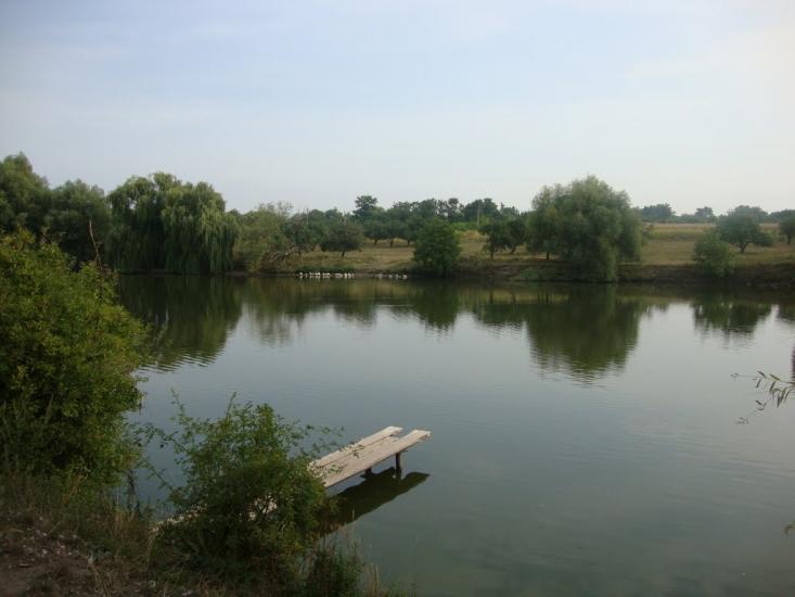 Серебринці з panoramio.com - Серебринці