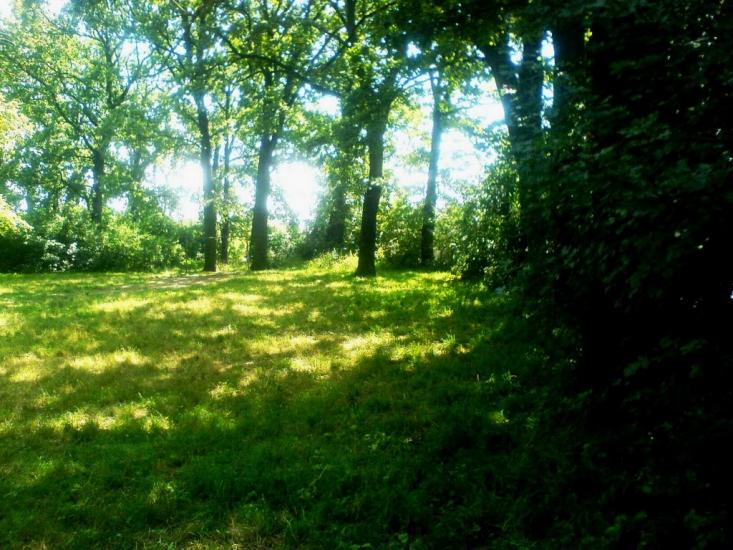 Вилок з panoramio.com - Вилок