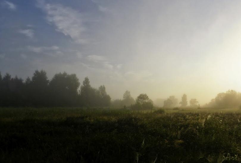 Грибова Рудня з panoramio.com - Грибова Рудня