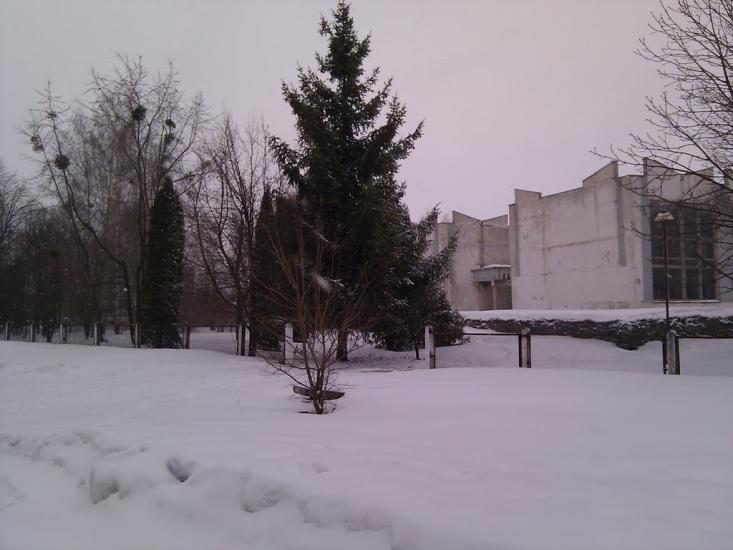 Чапаєвка з panoramio.com - Чапаевка