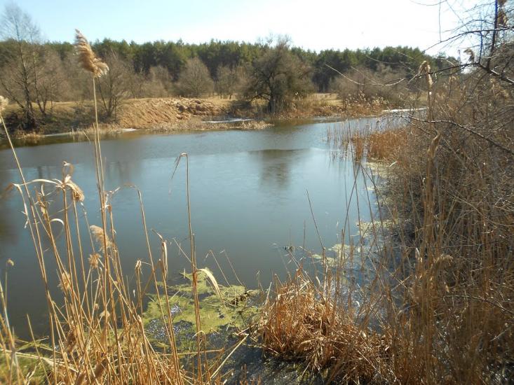 Снігурівка з panoramio.com - Снігурівка