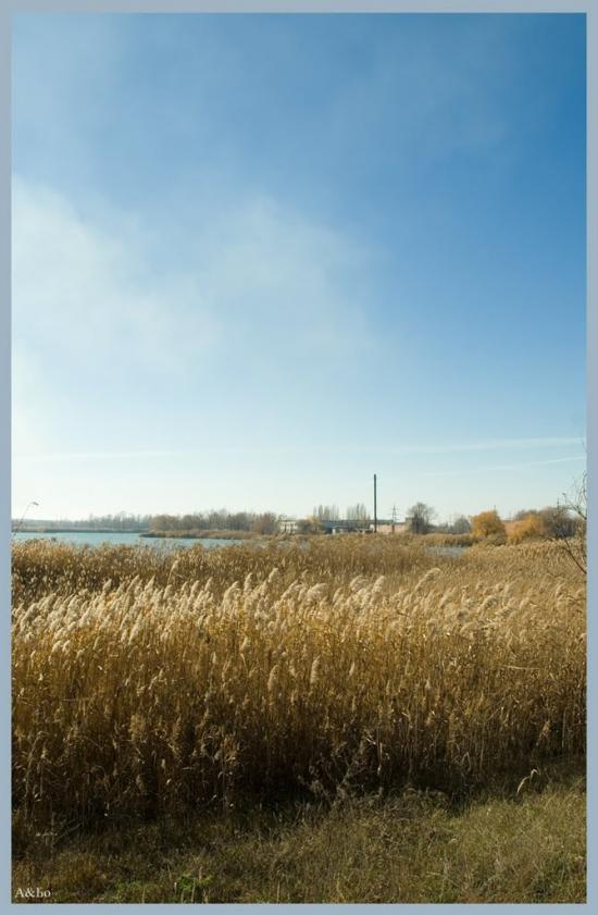 Червона Слобода з panoramio.com - Червона Слобода