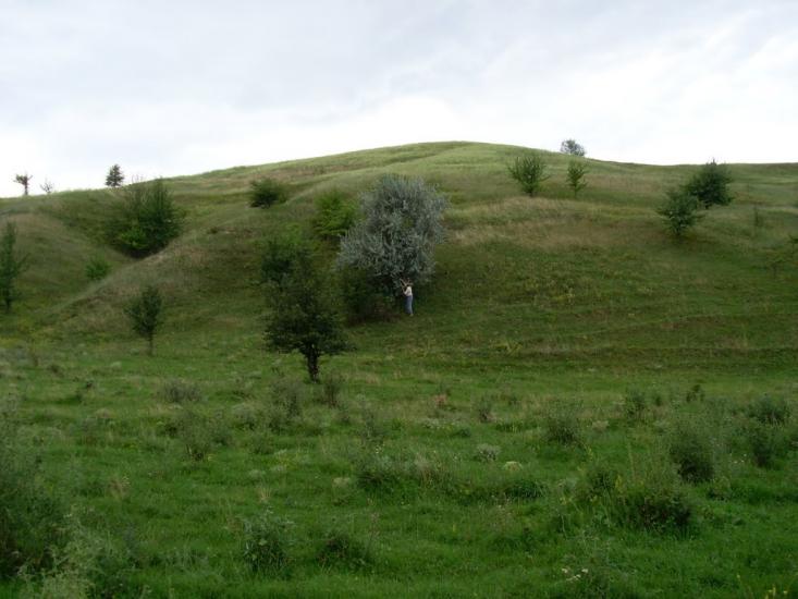 Устивиця з panoramio.com - Устивиця