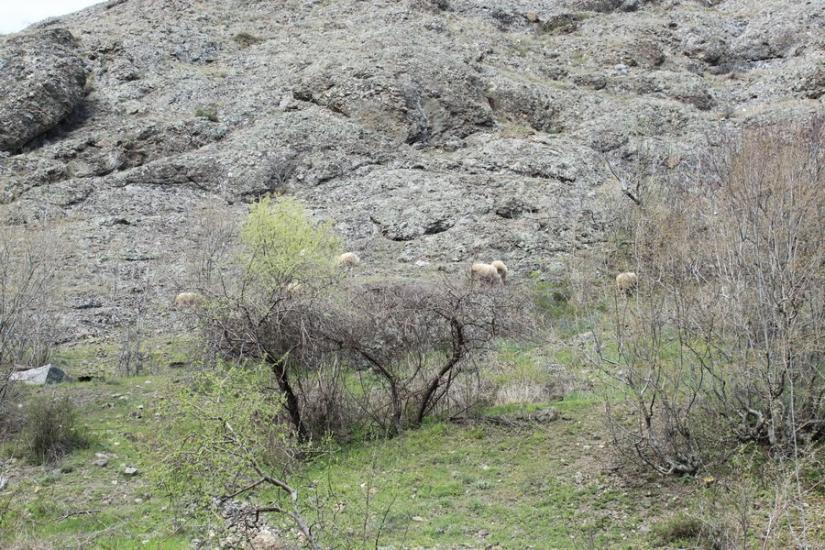 Громівка з panoramio.com - Громівка