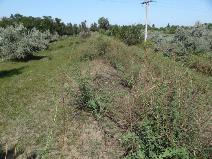 Кам'янка-Дніпровська з panoramio.com - Каменка-Днепровская