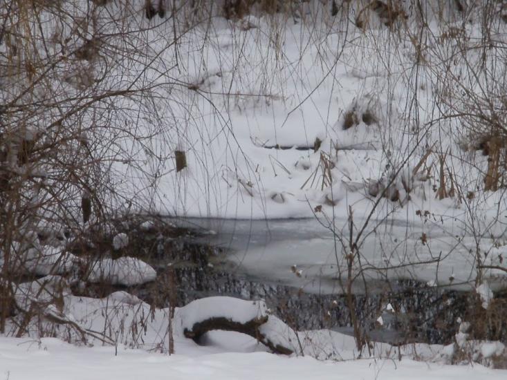 Суха Балка з panoramio.com - Суха Балка