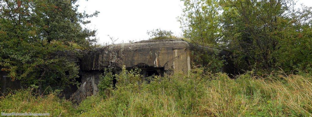 Зелена Гута з panoramio.com - Zelena Guta