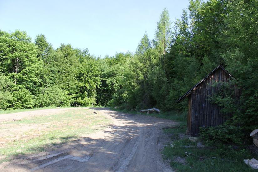 Княгиня з panoramio.com - Княгиня