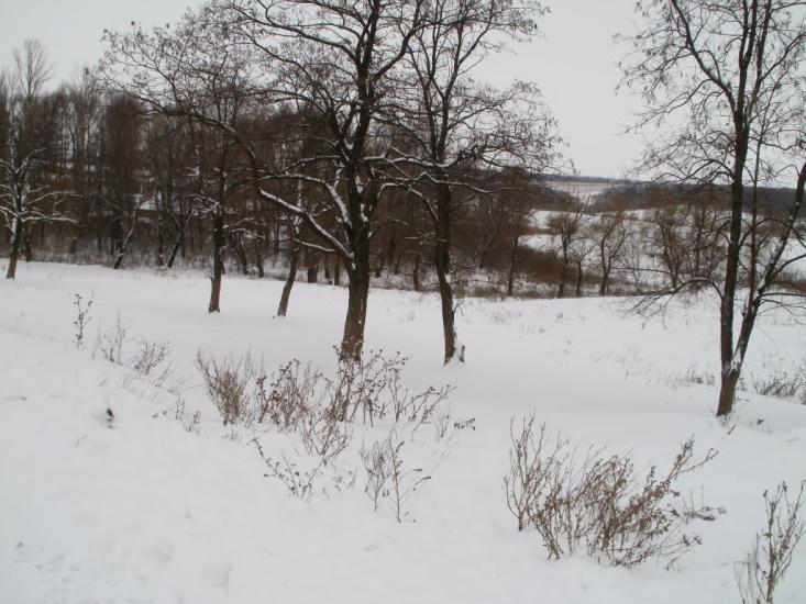 Суха Балка з panoramio.com - Суха Балка