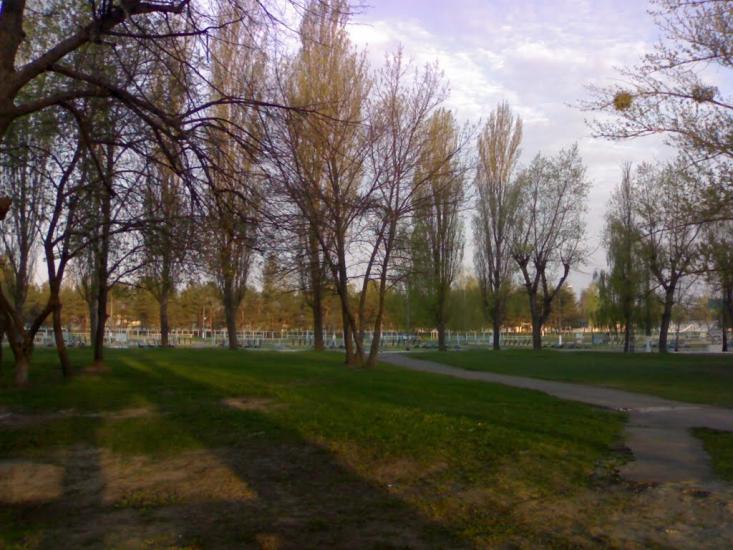 Десна з panoramio.com - Десна