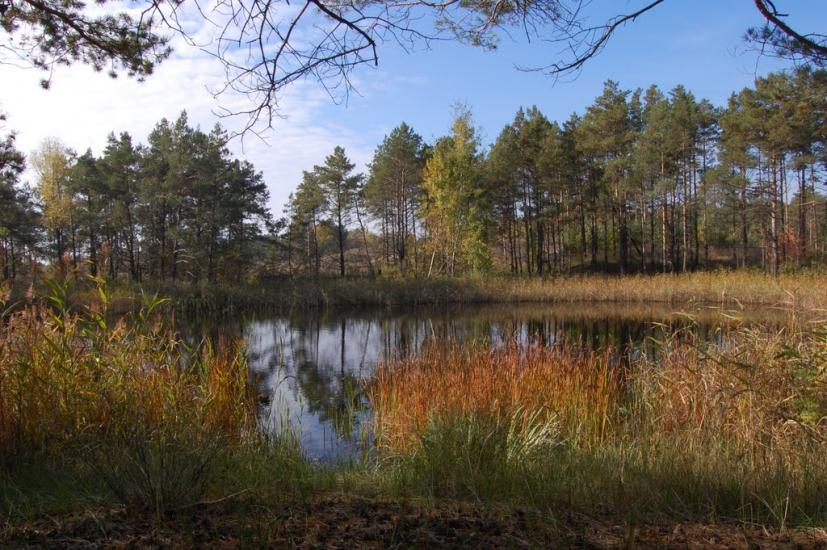 Леськи з panoramio.com - Леськи