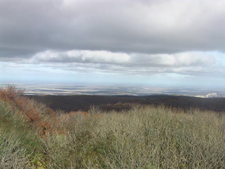 Земляничне з panoramio.com - Земляничное