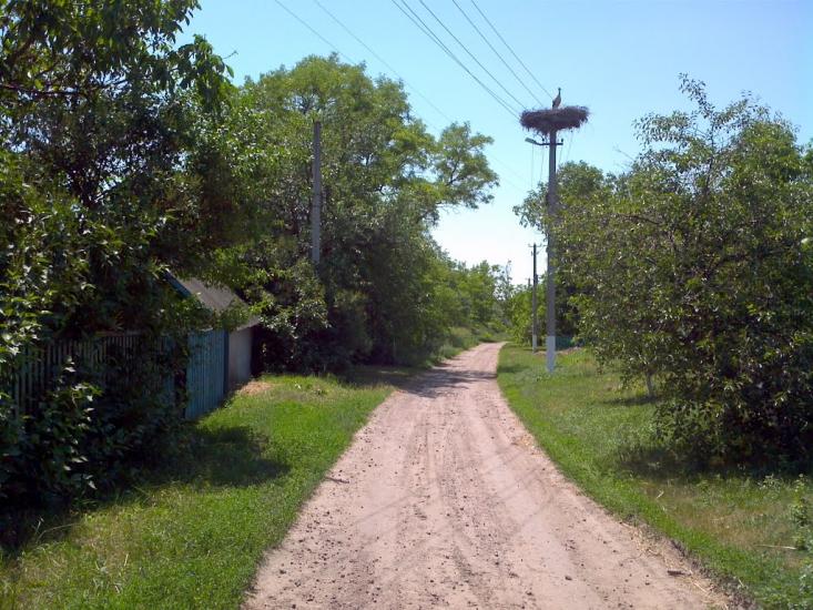 Новомиргород з panoramio.com - Новомиргород