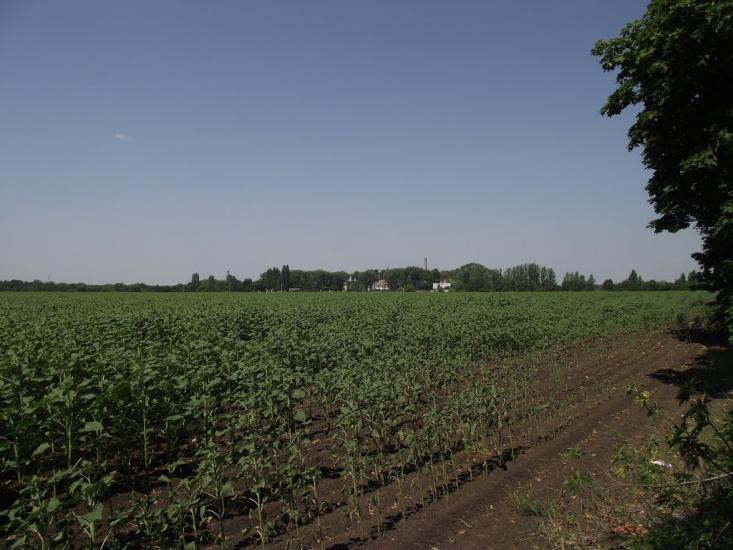 Родинське з panoramio.com - Родинське