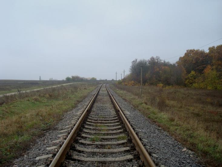 Вільхівці з panoramio.com - Ольховцы