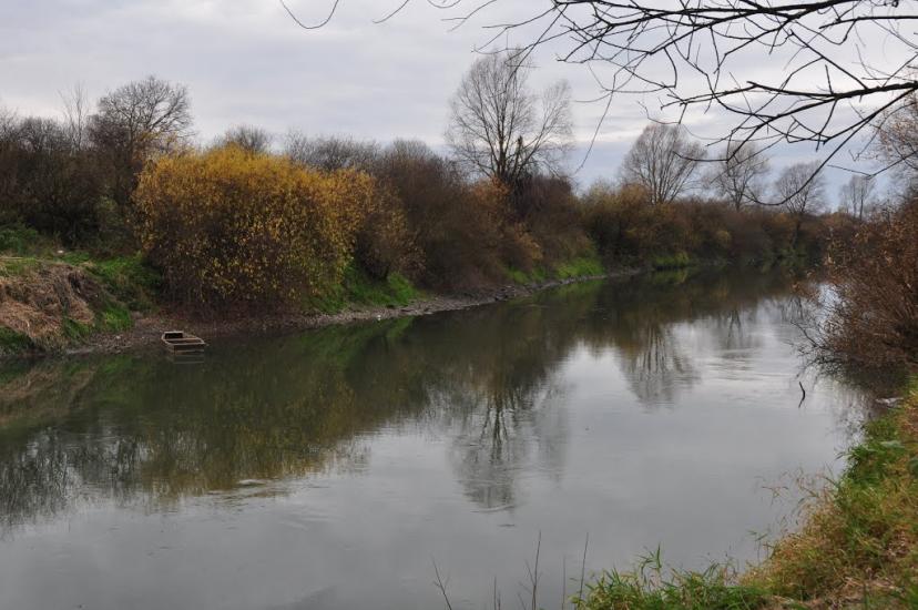 Липиці з panoramio.com - Липиці