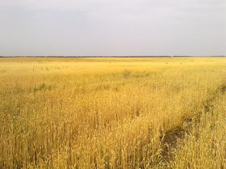 Заїзд з panoramio.com - Заїзд