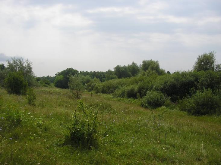 Рудківці з panoramio.com - Рудківці