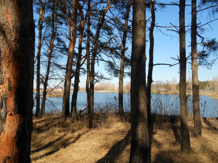 Чапаєвка з panoramio.com - Чапаевка