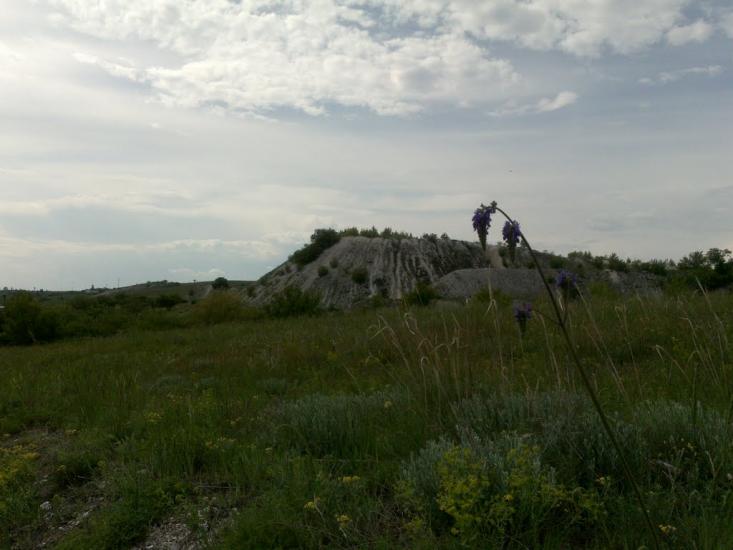 Черкаське з panoramio.com - Черкаське