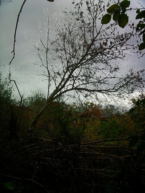 Високе з panoramio.com - Высокое