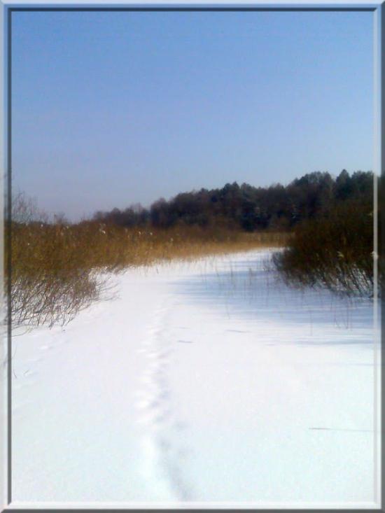 Кушкине з panoramio.com - Кушкино