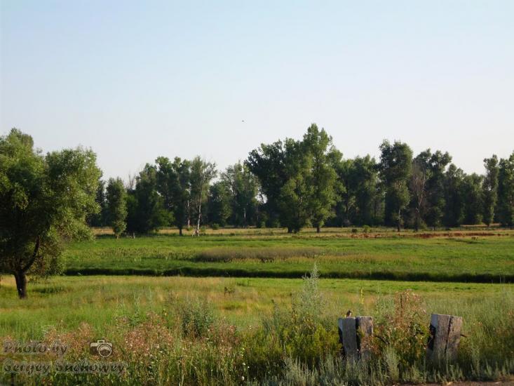 Дворічна з panoramio.com - Дворічна