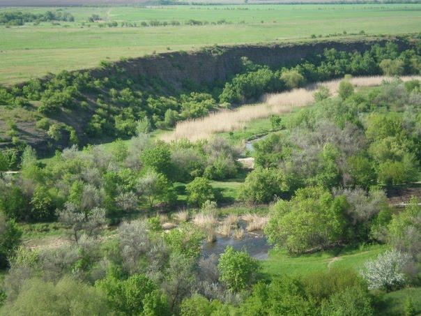 Зуївка з panoramio.com - Зуевка