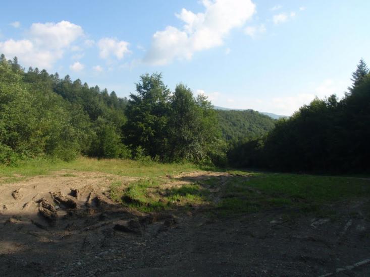 Княгиня з panoramio.com - Княгиня