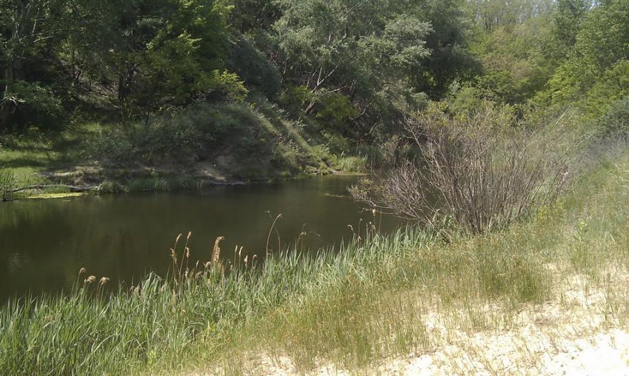 Григорівка з panoramio.com - Григорівка
