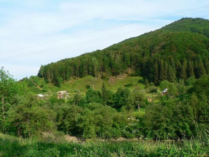 Шепіт з panoramio.com - Шепот