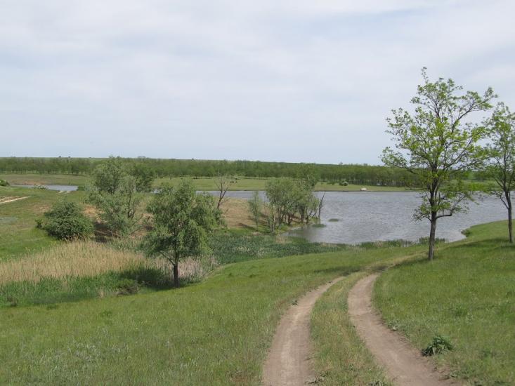 Макорти з panoramio.com - Макорти