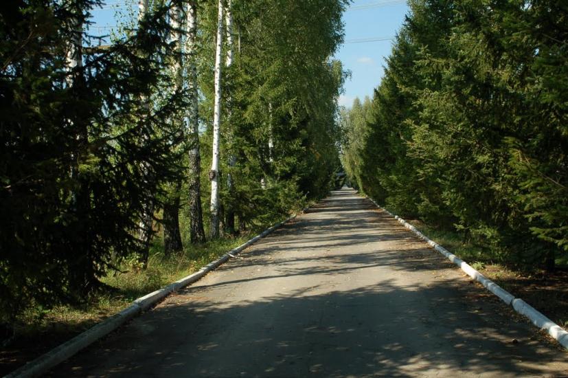 Гуменне з panoramio.com - Гуменне
