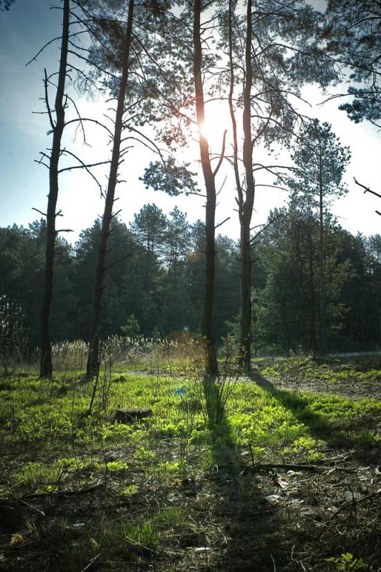 Кийлів з panoramio.com - Kyyliv