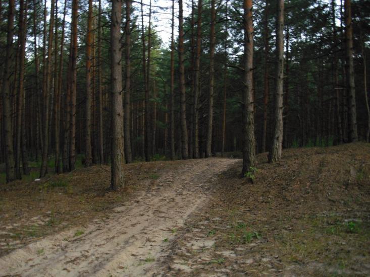 Кийлів з panoramio.com - Кийлів
