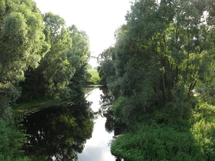 Лохвиця з panoramio.com - Lokhvitsa