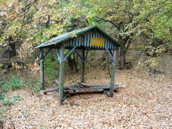 Виноградний з panoramio.com