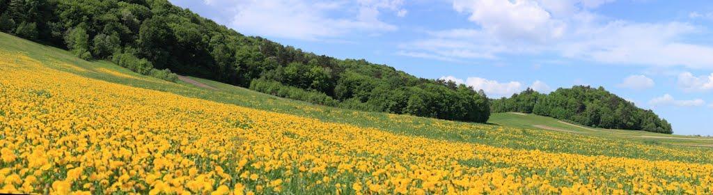 Лозино з panoramio.com - Лозино