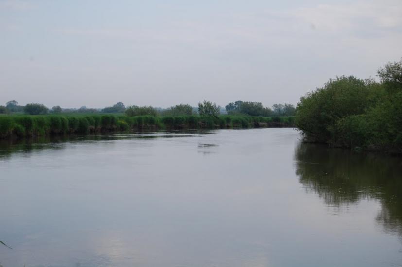 Куликовичі з panoramio.com - Куликовичі