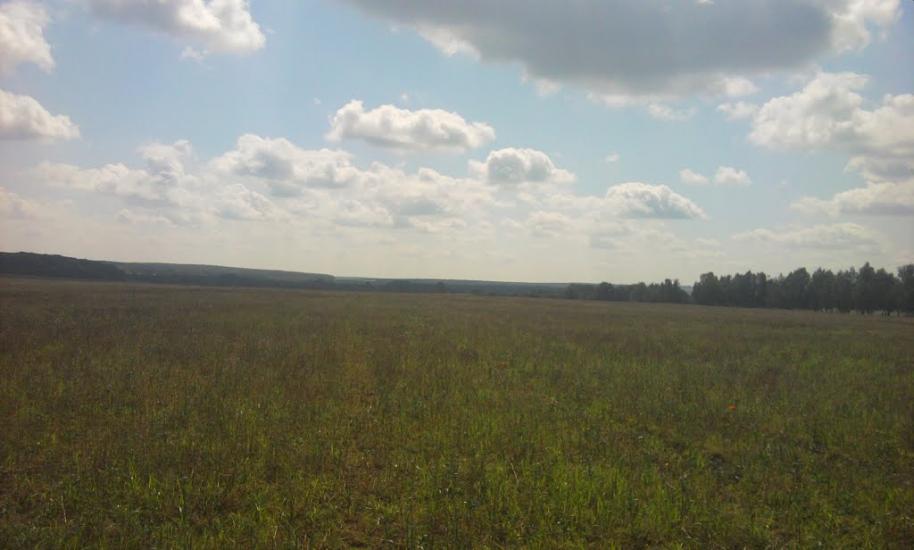 Слобода-Гулівська з panoramio.com - Слобода-Гулівська