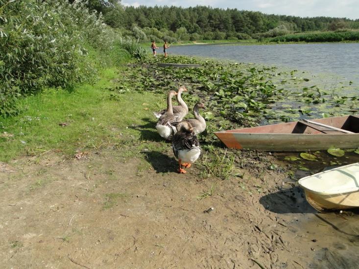 Новгород-Сіверський з panoramio.com - Новгород-Сіверський