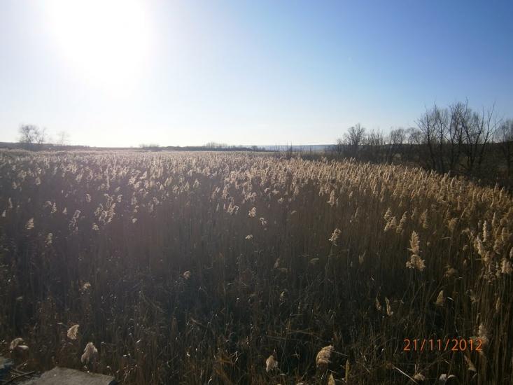 Колядівка з panoramio.com - Колядовка