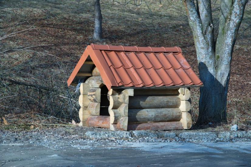 Поляна з panoramio.com - Поляна