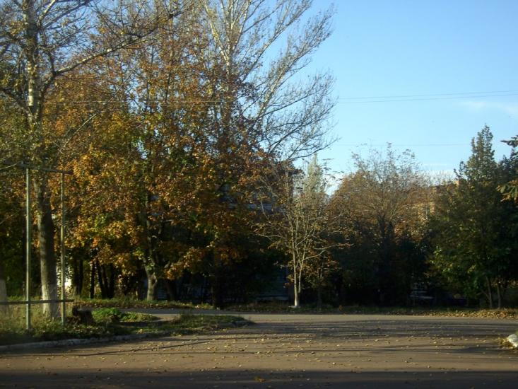 Смоліне з panoramio.com - Smoline