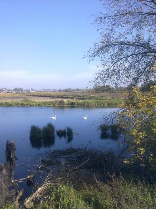 Яворів з panoramio.com - Яворов