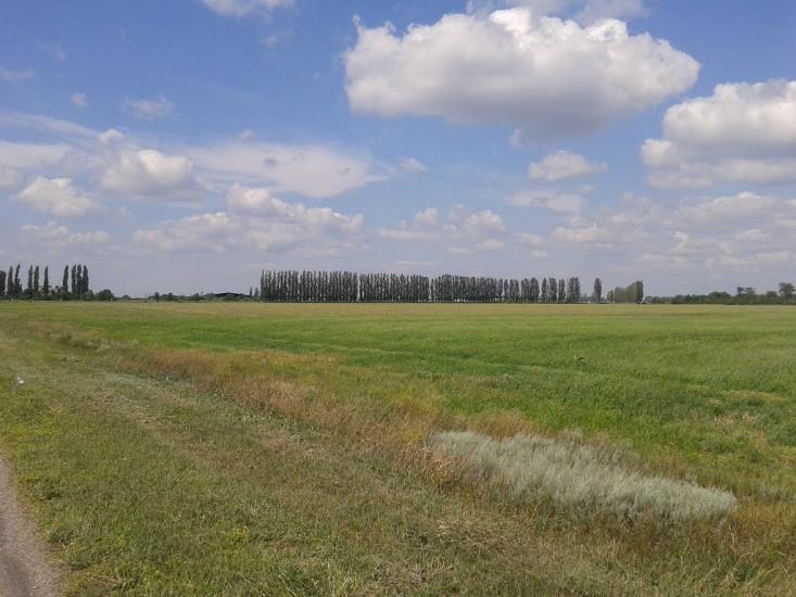 Новофедорівка з panoramio.com - Новофедорівка