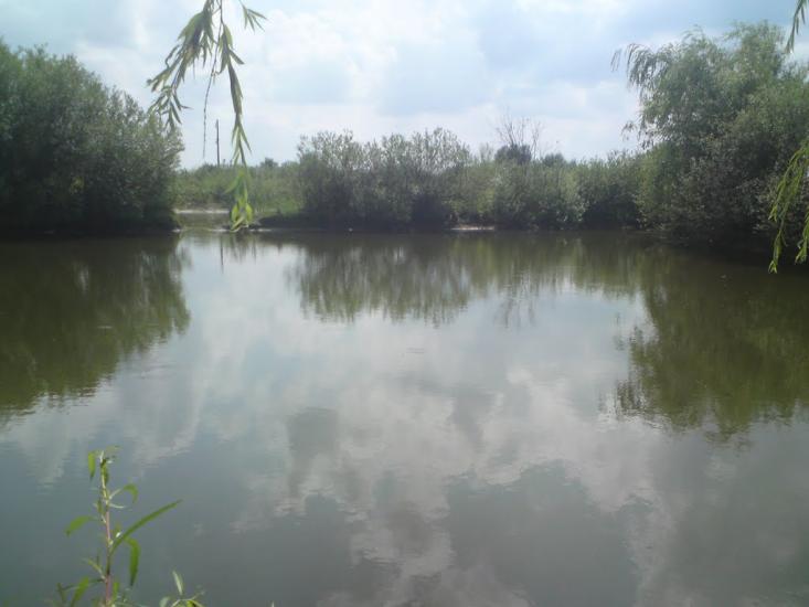 Кураж з panoramio.com - Кураж